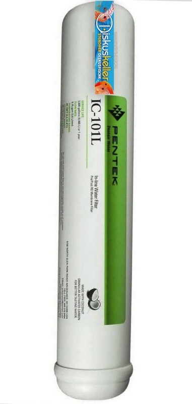 Pentek IC-101L Inline Kohlefilter mit Kokosnuss T33
